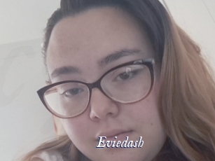 Eviedash