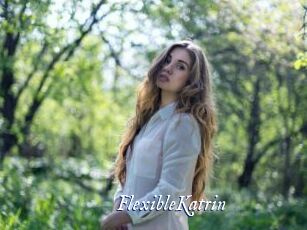 FlexibleKatrin