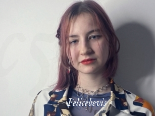 Felicebevis