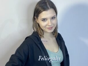 Felicegaler