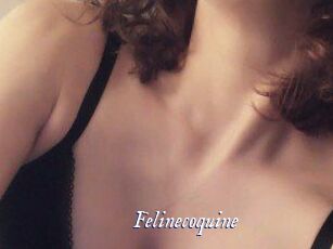 Felinecoquine