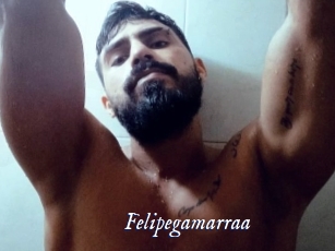 Felipegamarraa