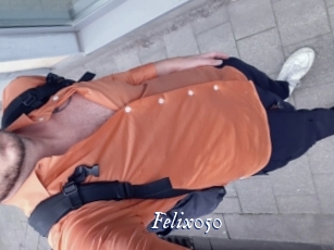 Felix050