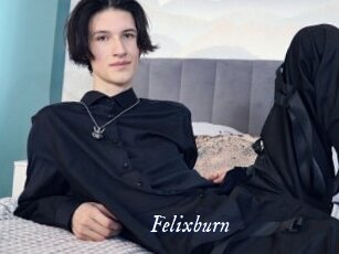 Felixburn