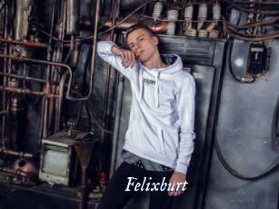 Felixburt