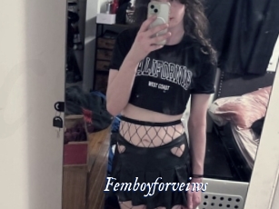 Femboyforveiws