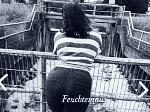 Feuchtemaus