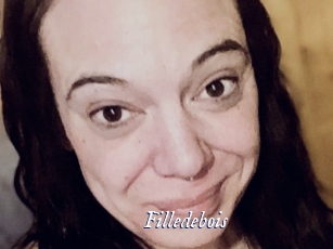 Filledebois