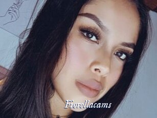 Fiorellacams