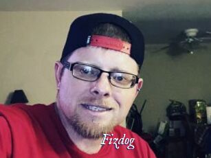 Fizdog