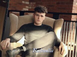 Flashwallis