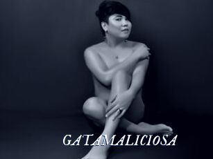 GATAMALICIOSA