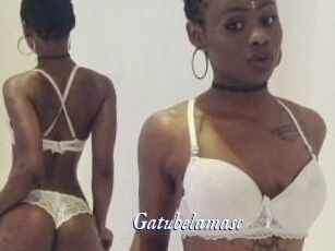 Gatubela_masc