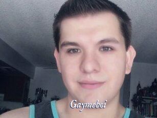 Gaymeboi