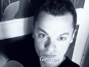 Gayminet
