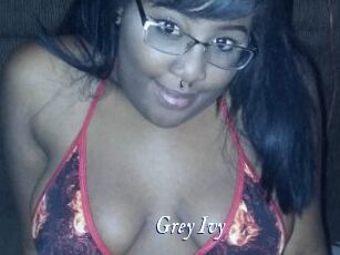 Grey_Ivy