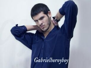 Gabrielhornyboy