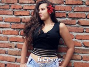 Gabyharvey