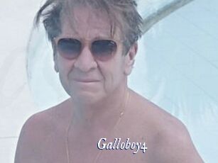 Galloboy4