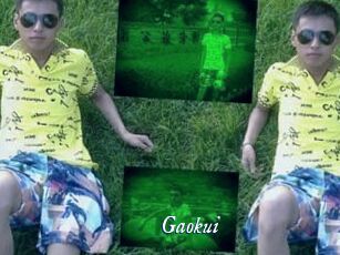 Gaokui