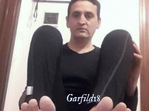 Garfild18