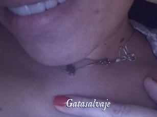 Gatasalvaje