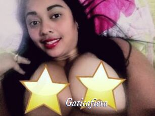 Gaticafiera