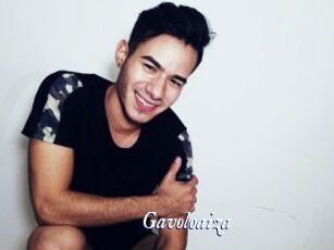 Gavoloaiza