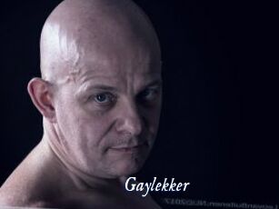 Gaylekker