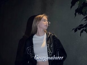 Georginaborer