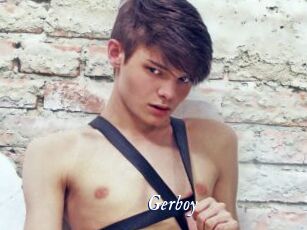 Gerboy