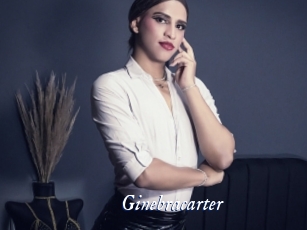ginebracarter Cam 5