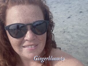 Gingerbloom69