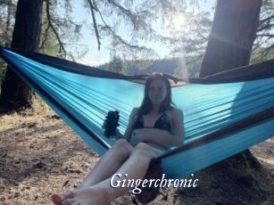 Gingerchronic