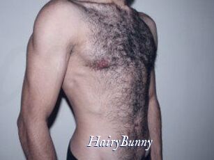 HairyBunny
