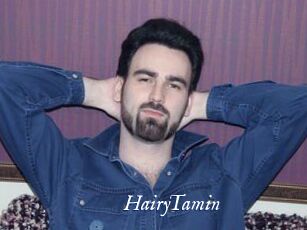HairyTamin