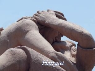 Hairyscot