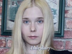 HaleyBoley
