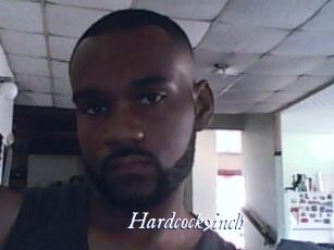 Hardcock9inch
