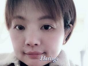 Haringo
