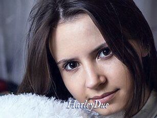 Harley_Due