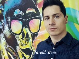 Harold_Stone Cam 5