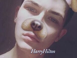 HarryHilton