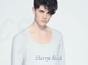 Harrys_Stick