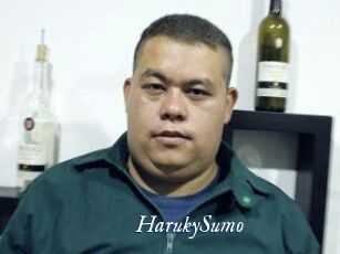 Haruky_Sumo