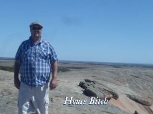 House_Bitch Cam 5