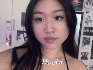 H311pixi