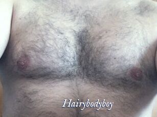 Hairybodyboy