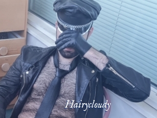 Hairycloudy