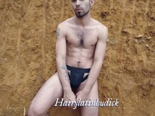 Hairylatinhudick
